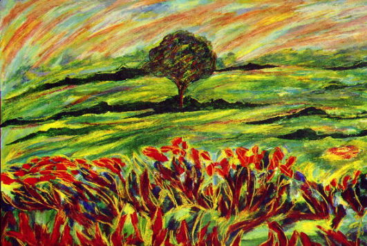 Field 12