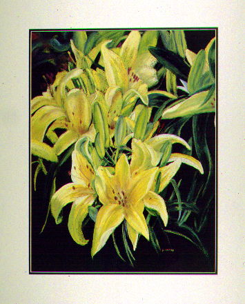 New Mexican Lillies