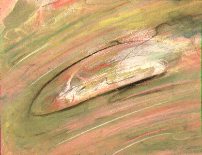 Study 14