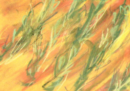 Study 16