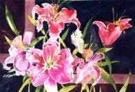 Lillies